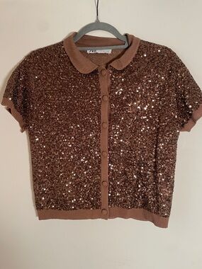 Zara Brown Sequin Button-Front Tee